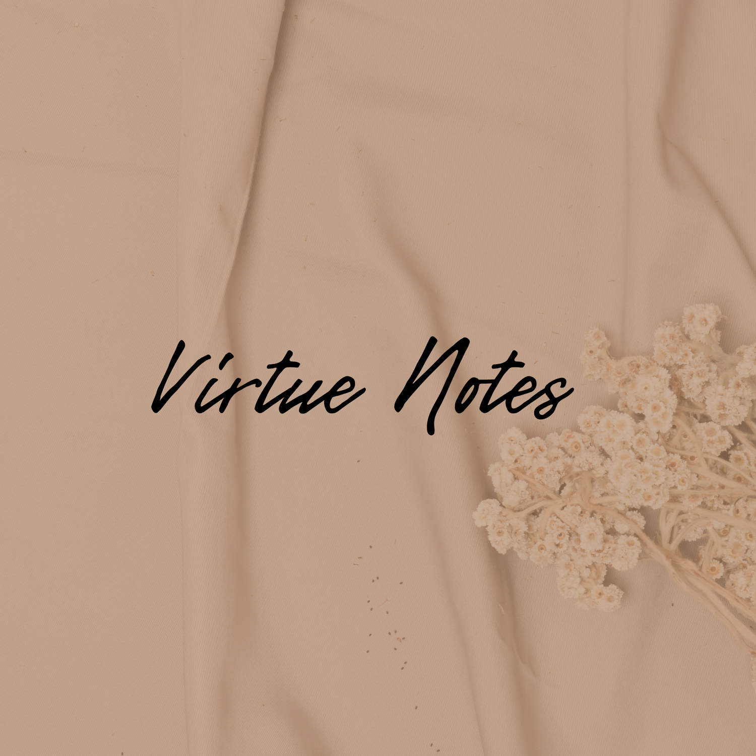 Virtue Notes