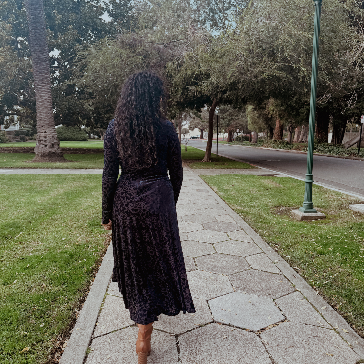 Midnight Velvet Dress