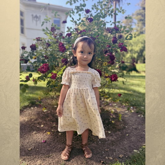 The Faye Dress (Littles)