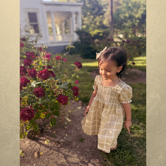 The Harlow Dress (Littles)